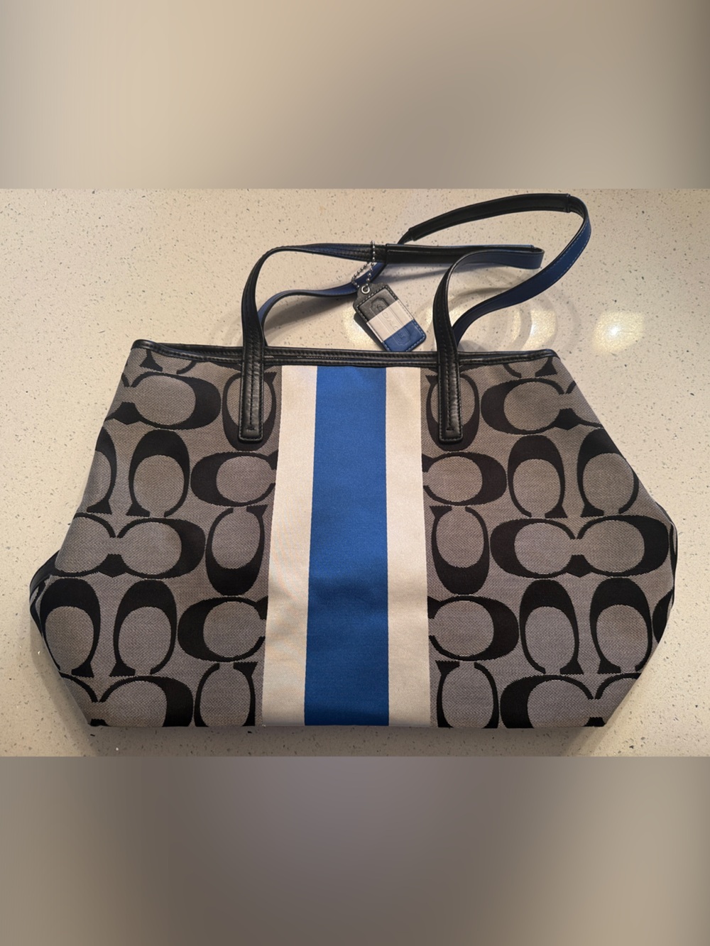 Coach Signature Duffel Bag in Black & Blue Stripe